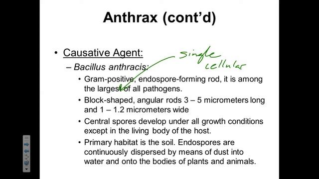 Micro Ch 18 Chagas and Antrax смотреть онлайн
