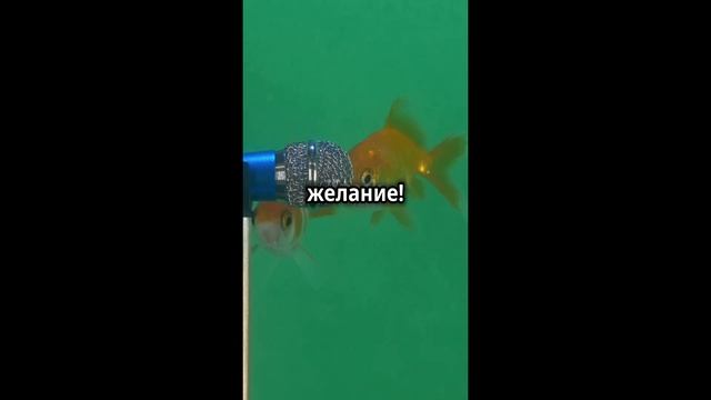 анекдот😂joke😂