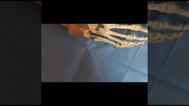 Material del Taller de Osteosintesis смотреть онлайн