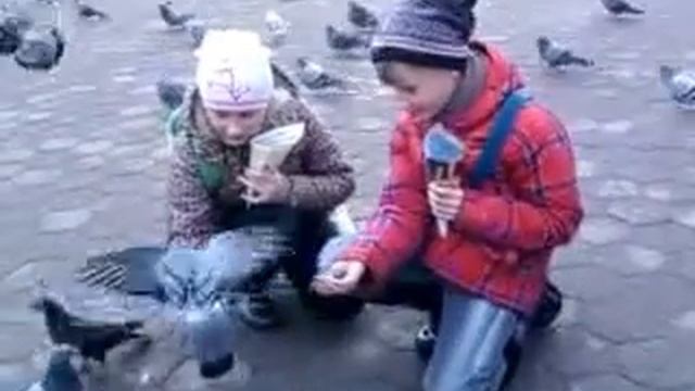 Машуля и Таиса кормят голубей смотреть онлайн