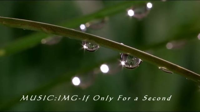 IMG if only for a second смотреть онлайн