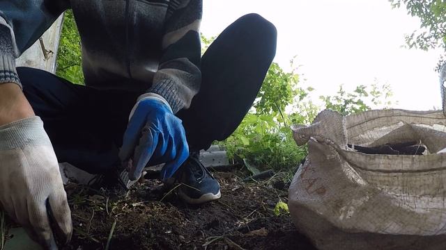 Площадь раскопок Увеличивается. Сколько же здесь Электродов?.. смотреть онлайн