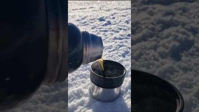 ШЕРЕГЕШ 2025 - сезон открыт. #шерегеш #горныелыжи #лыжи смотреть онлайн