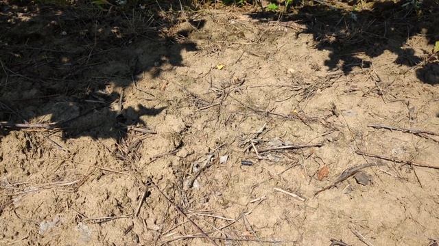результат застосування гербіциду Бекано на різних культурах в саду смотреть онлайн