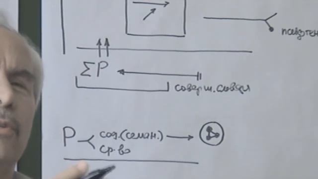 Псевдогенетический принцип Бытие в себе, для себя и для иного Описание структур смотреть онлайн