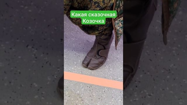 Сказочные персонажи уже вышли смотреть онлайн