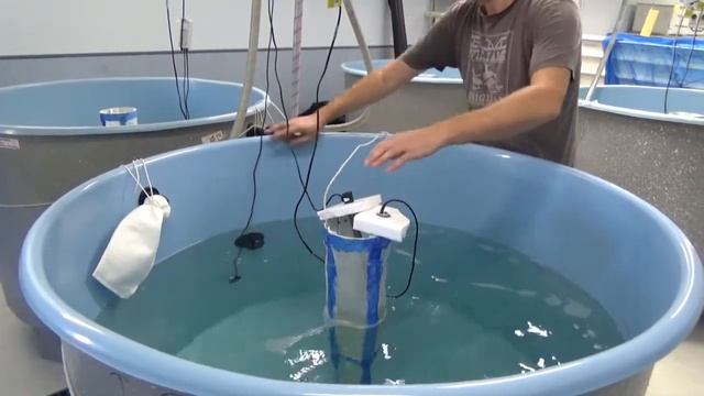 2012-213: Egg Imcubation Tank Management смотреть онлайн