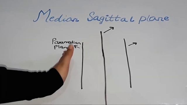 Median Sagittal Plane explained in 2 minutes смотреть онлайн