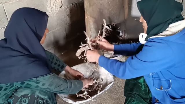 "Providing Sustainable Sanitation: Digging a Sewage Well for a Nomadic Family" смотреть онлайн