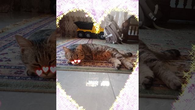 моя кошка баст смотреть онлайн