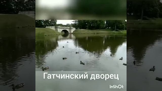 Гатчина-2019 смотреть онлайн