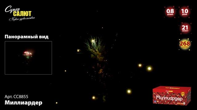 СС8855_2024 смотреть онлайн