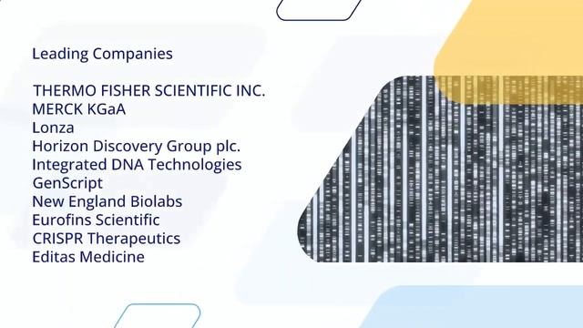 Genome Editing Market to Cross US$ 16.98 billion by 2028 смотреть онлайн