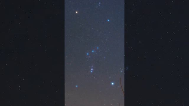 Glowing Orion ✨ смотреть онлайн