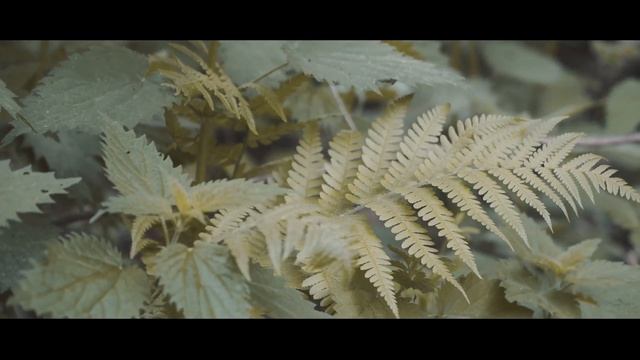Hochzeitsfilm Mona & Micha | 📽 Highlights смотреть онлайн