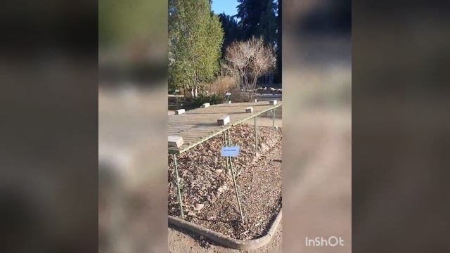 Поездка в Майнц (Германия) часть 4 / Ботанический парк и университет/ Botanic Park and University. смотреть онлайн
