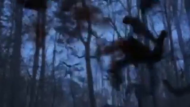 Yarasalar Korku Gerilim Aksiyon Full Hd Film İzle