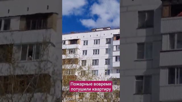 Пожарные вовремя потушили квартиру смотреть онлайн