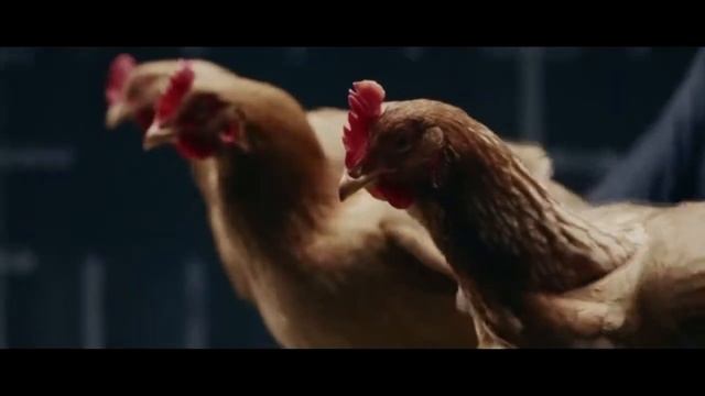 Лучшее Видео КУБ смотреть онлайн