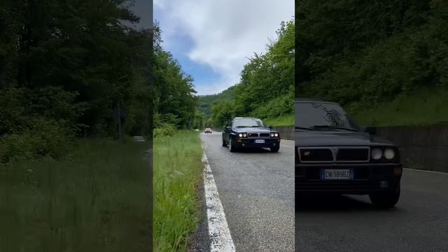 Lancia Delta 👑 #meeting #lanciadelta #integrale #italy #car #passion #rally #mikibiasion #16v смотреть онлайн