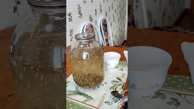 Овсяной квас. смотреть онлайн