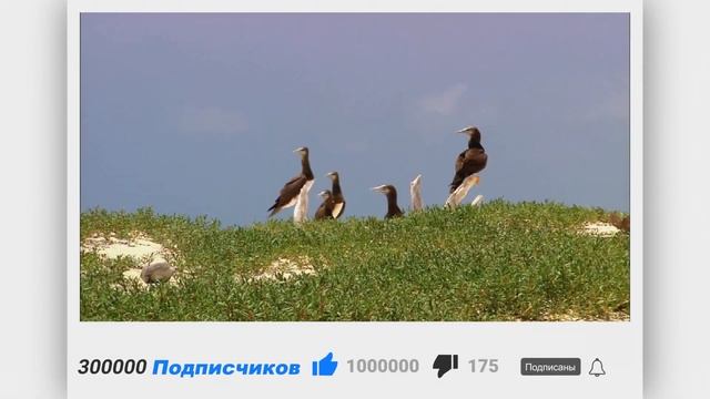 Реклама, приятные цены, четкий результат #реклама #ads.google #видео смотреть онлайн