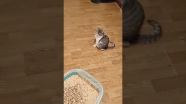 все по своим местам