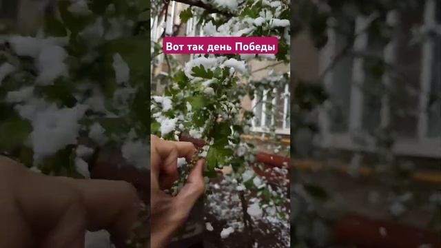 Москва катаклизмы 9 Мая смотреть онлайн