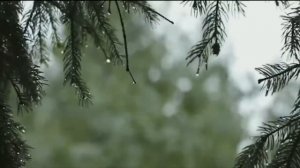 Релаксация по Джекобсону при стрессе напряжения