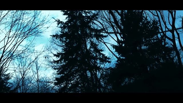 Home? (Experimental Film) смотреть онлайн