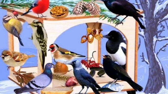 12 ноября - синичкин день!
