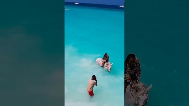 Занзибар, рай в Индийском океане смотреть онлайн