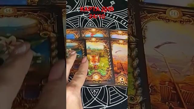 КАРТА ДНЯ 24/10 #таросегодня смотреть онлайн