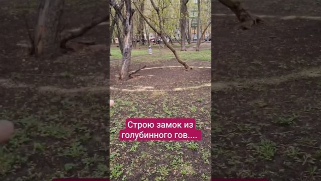Как построить башню с помощью голубей #юмор #прикол #топ смотреть онлайн
