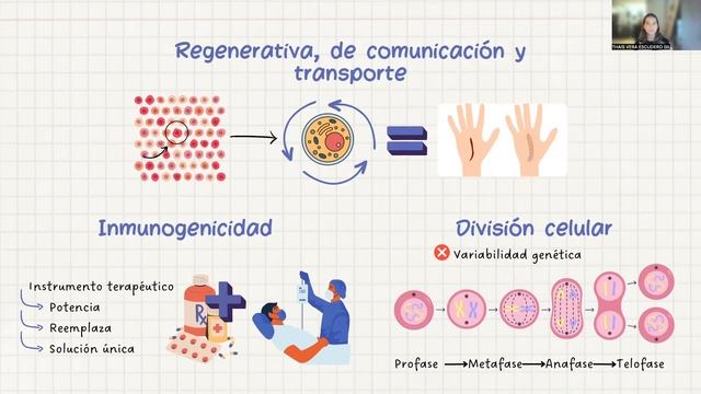 CELULA MADRE - ATENCION INTEGRAL - USIL смотреть онлайн