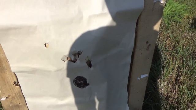 Marocchi SI12 и AKKAR Churchill стрельба пулей Тандем 32гр. смотреть онлайн