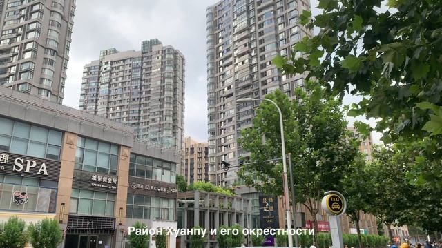 Одинокая прогулка по Шанхаю | Успеть всё за 15 часов #travelvlog #shanghai #china #asia #iphone смотреть онлайн
