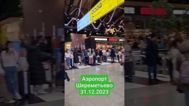 Я не успел зарегистрироваться. Шереметьево в новый год 2023 смотреть онлайн