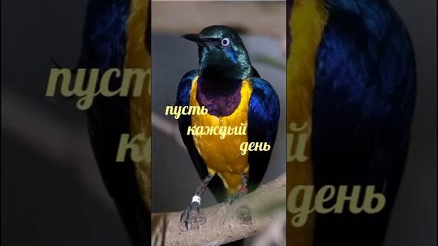 С добрым утром 😊😊😊 смотреть онлайн