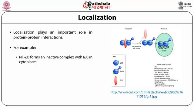 Protein-protein interaction and its requirement, Protein microarray смотреть онлайн