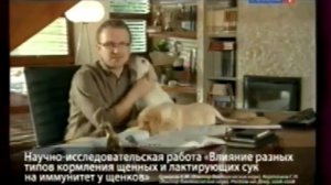 Заставка-анонс и реклама (Россия-1, 09.04.2011)