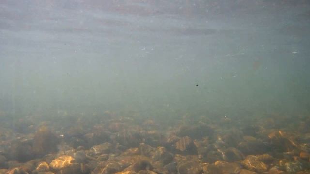 Sj Cam 8 Plus подводный тест смотреть онлайн