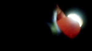 17.03.2024г.Овоскопирование куриных яиц на 6 день инкубации.