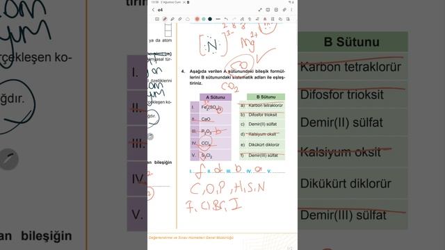 9.sınıf güncel meb kazanım kavrama testi Etkinlik 4 2024 DETAYLI ANLATIM смотреть онлайн