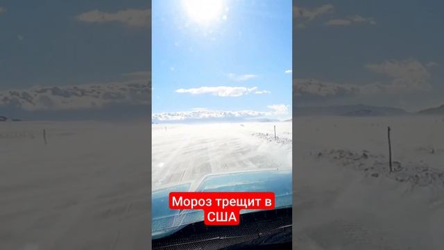 В США тоже очень морозно смотреть онлайн