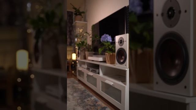 GoGo Penguin - Between Two Waves #vinyl #unboxing #music #vinylrecords #vinylcollection #record смотреть онлайн