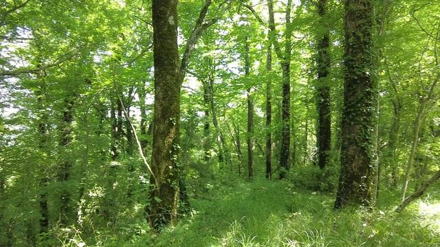 Новая прогулка вокруг села Небуг - красота!