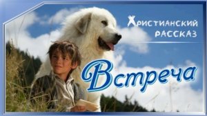 📗 «Встреча» ~ РАССКАЗЫ Христианские ~ 🟢 АУДИОРАССКАЗ