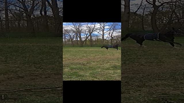 VID_20200513_152243 смотреть онлайн