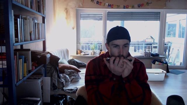 The Holly Bush Jig, Harmonica. смотреть онлайн